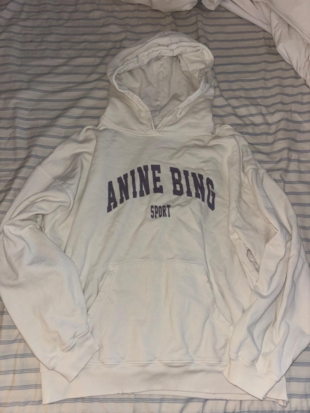 Anine Bing Hoodie